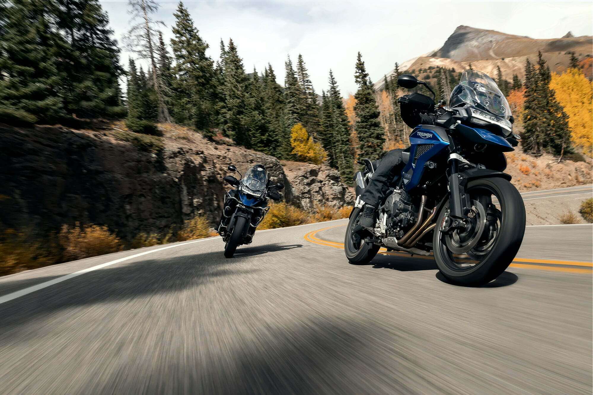 Triumph new TIGER 1200 GT PRO 